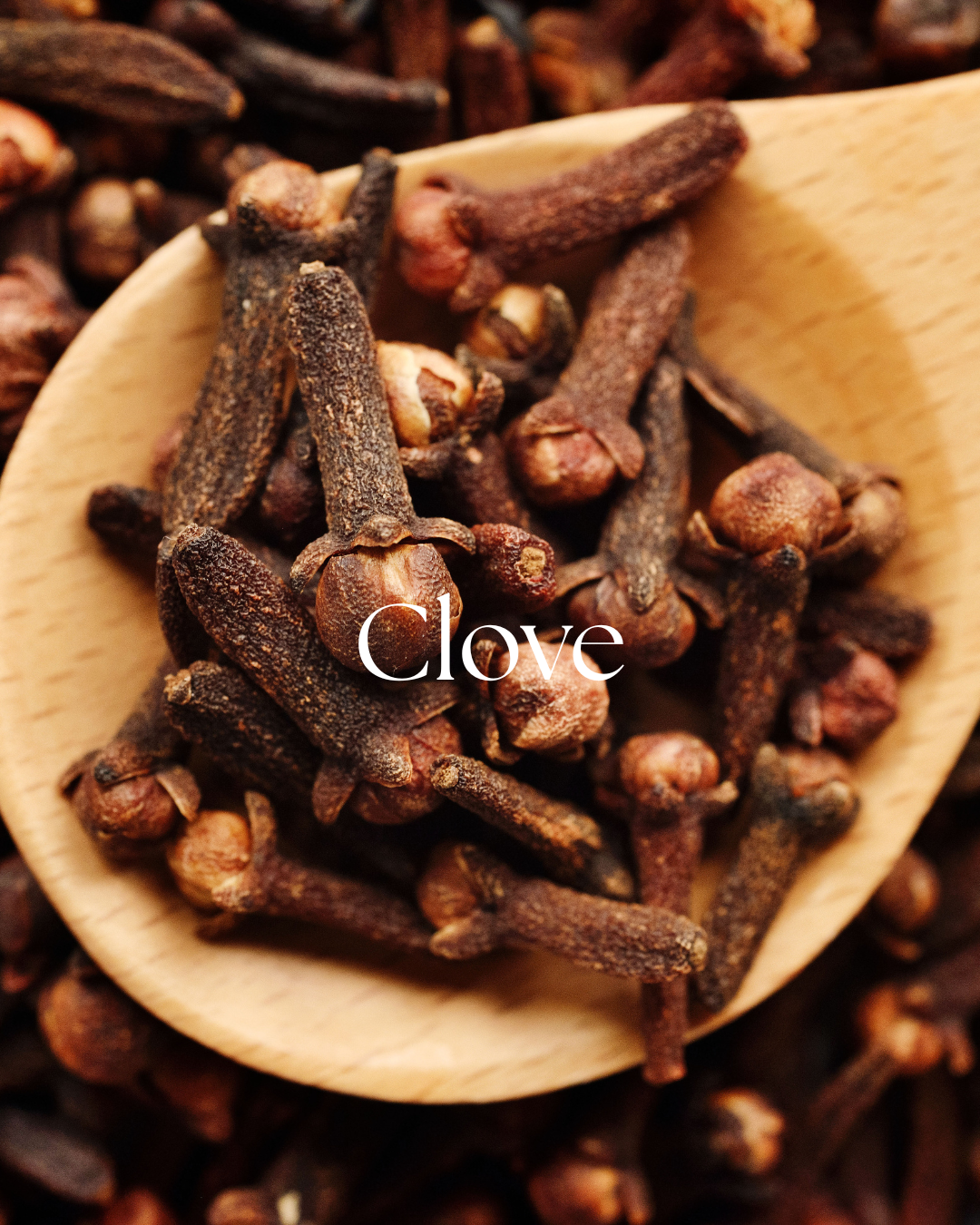 Organic Clove Buds | Warming Spice & Traditional Herbal Remedy