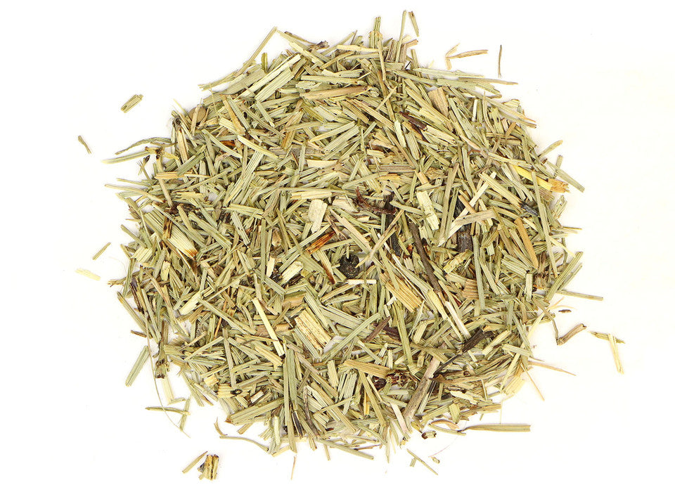 Organic Shavegrass (Horsetail) | Herbal Silica for Hair, Skin & Bone Health