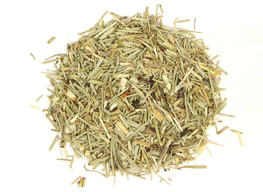 Organic Shavegrass (Horsetail) | Herbal Silica for Hair, Skin & Bone Health