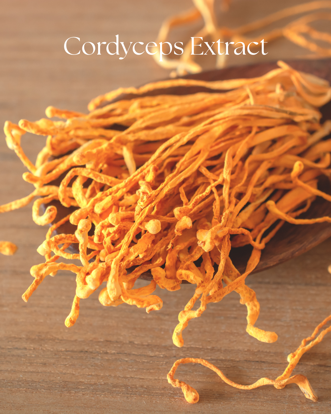 Organic Cordyceps Extract Powder | Energy & Endurance Mushroom Supplement 1 oz