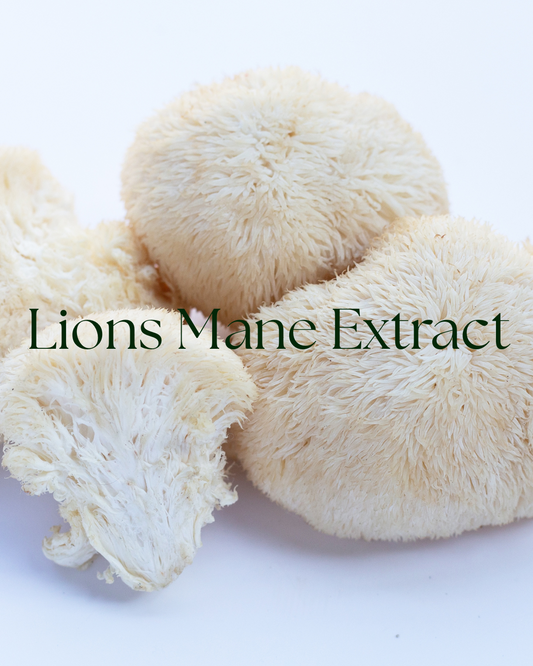 Organic Lion’s Mane Extract Powder | Nootropic Mushroom for Brain Health 1 oz