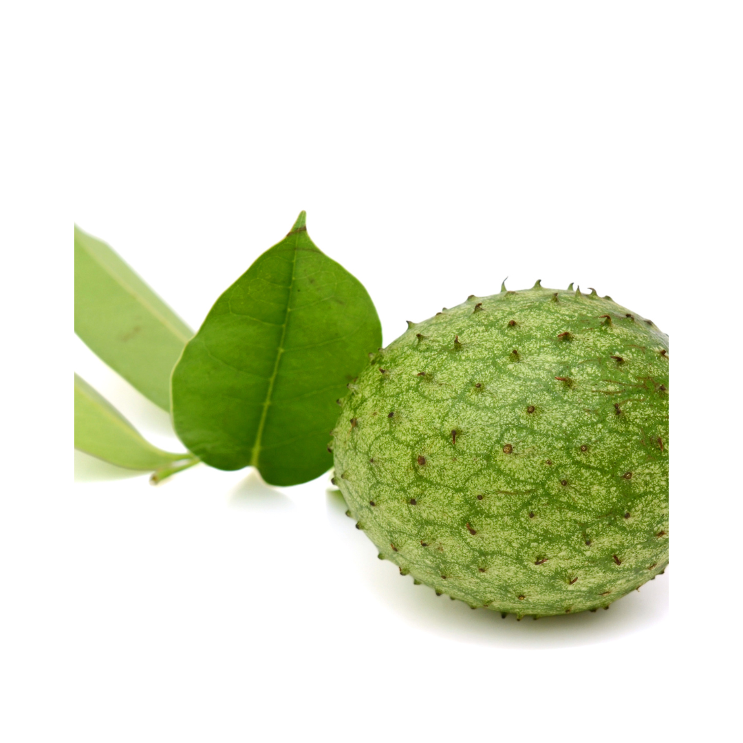 USDA Organic Soursop Leaves