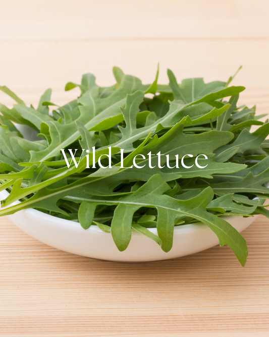Organic Wild Lettuce | Calming Herbal Remedy for Pain & Relaxation 1 oz